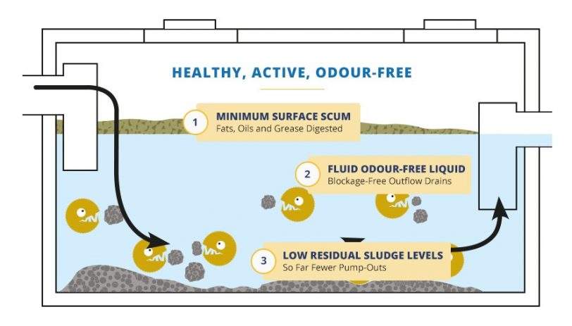 Septic Tank Maintenance Tips | Monthly Checklist for Homeowners