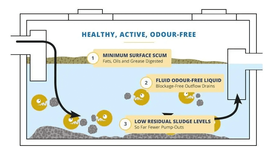 Three Layers in a Septic Tank: Scum, Effluent, and Sludge