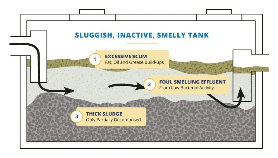 diagram of a bad septic tank