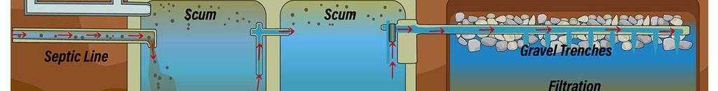 septic system diagram with drain field