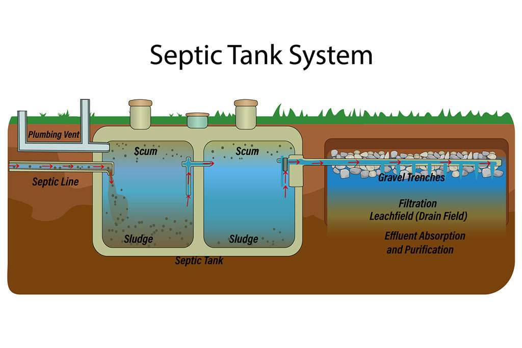 Septic tank bacteria booster