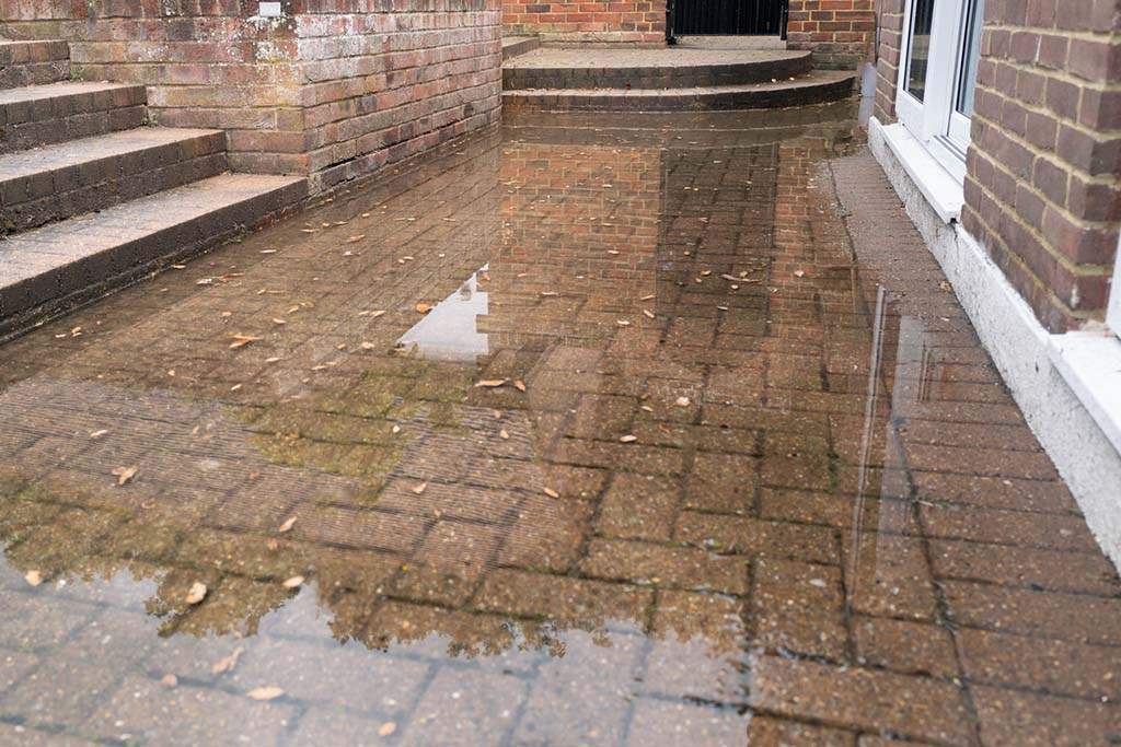 Septic tank full of cheap water not draining