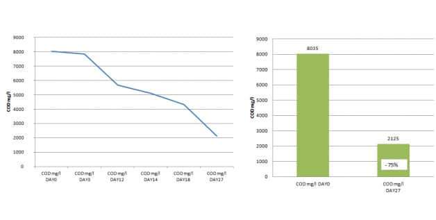 efficacy-on-a-simulated-septic-tank-data