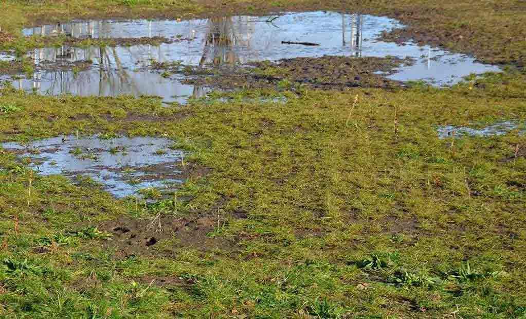 blocked septic soakaway damage 