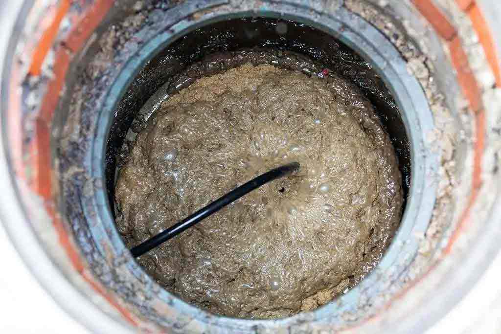 clogged septic tank drain pipe caused by FOGs