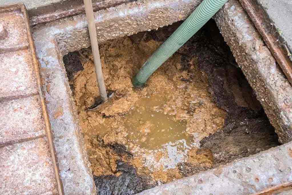enzymes breaking down solids on septic tank