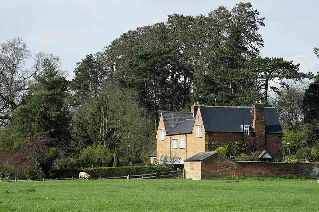 terrace cottages using a shared septic tank