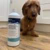 pet safe floor cleaner