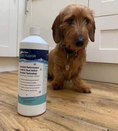 pet safe floor cleaner