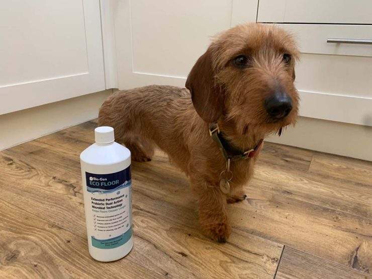 Pet Safe Floor Cleaners Pet Friendly Cleaning